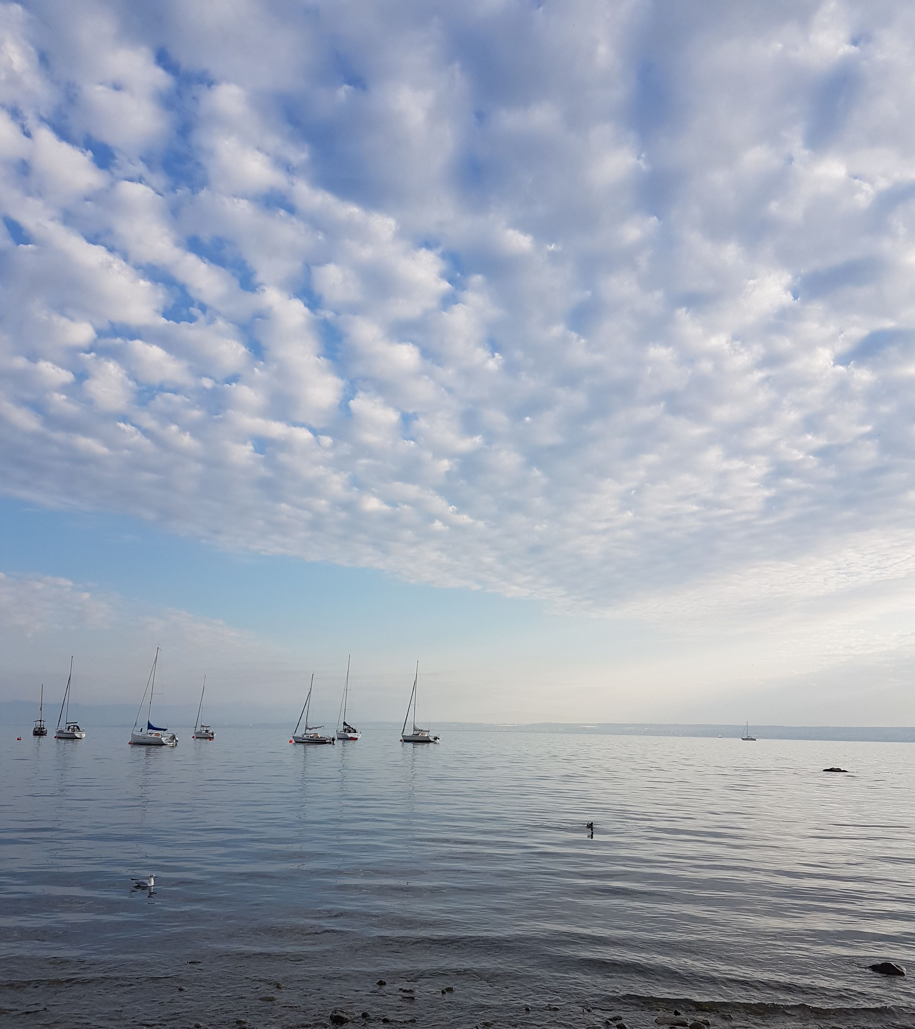 Selbsthilfeangebote für pflegende Angehörige